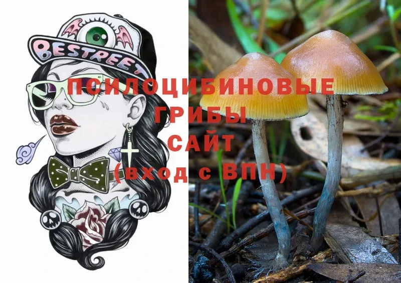 Галлюциногенные грибы Psilocybine cubensis Сертолово